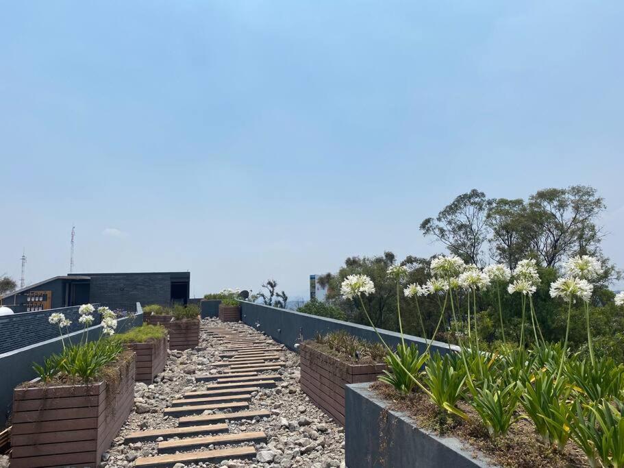 멕시코 시 Nuevo Y Ubicado Departamento Zona Santafe 아파트 외부 사진