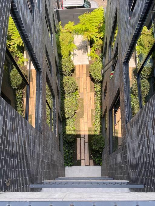 멕시코 시 Nuevo Y Ubicado Departamento Zona Santafe 아파트 외부 사진